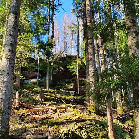 Vila La Gambas Des Bois Saint-Quirin Exteriér fotografie
